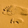 Судебные приставы напомнили отцу о сыне